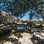 Mario *