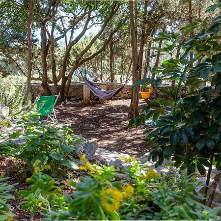 Apartman Mario Zavalatica